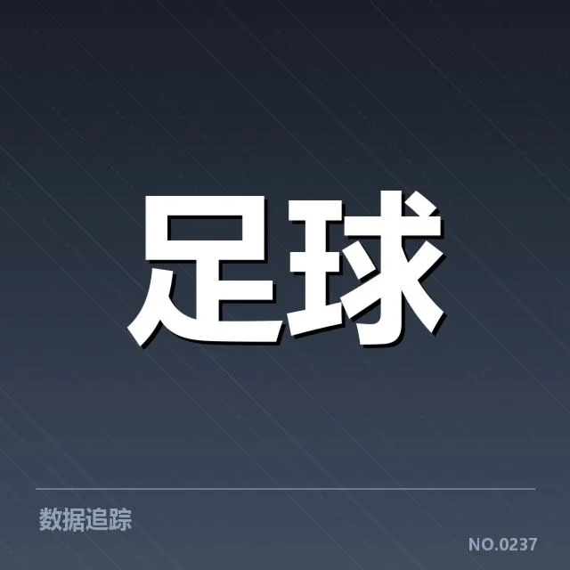 伯尔尼年轻人球场建设：未来发展面临哪些挑战与机遇